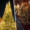 Solar String Lights for Outside, 200 LED 72Ft Solar Fairy Lights for Outside Waterproof with 8 Modes, Solar Lights Outdoor for Patio Tree Christmas Party Wedding Decor(Warm White)